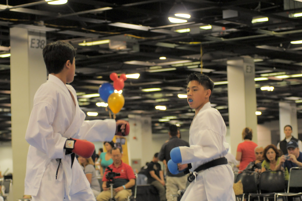 disneyland tournament ronsemailbox Flickr