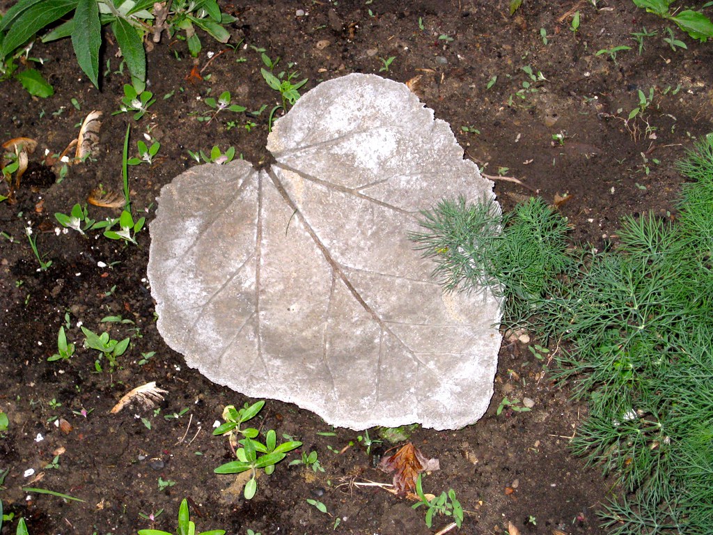 Stepping Stone Rhubarb leaf stepping stone. BTW, Kim sells… Flickr