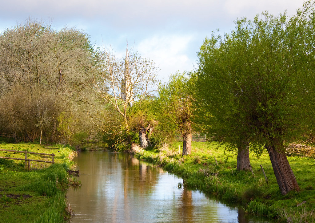 Salisbury Cathedral Spire from Britford Nigel Burkitt Flickr