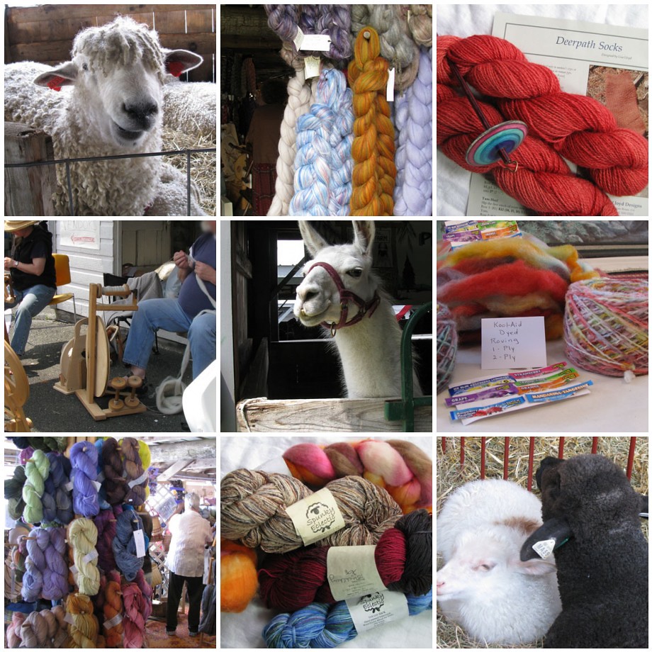 MA Sheep & Wool Fair 1. Another Sheep, 2. Roving, 3. Deerp… Flickr