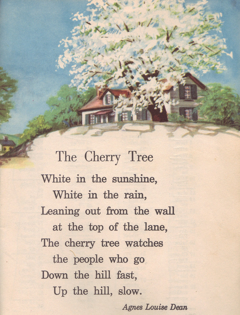 The Cherry Tree illustrated by Meg Wohlberg a photo on Flickriver