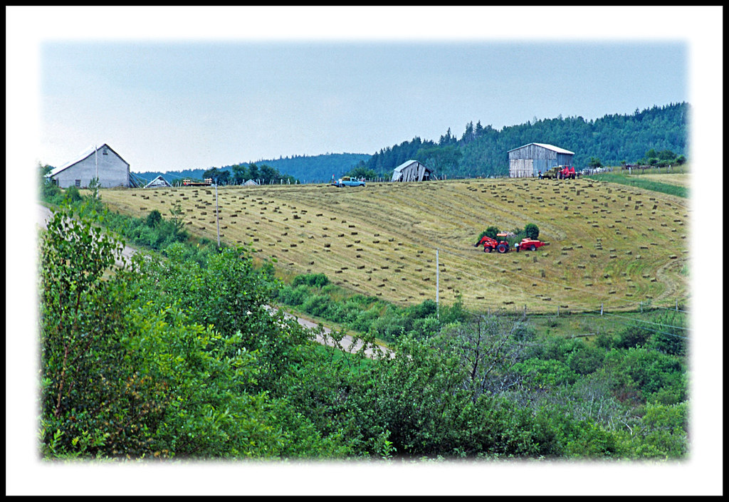Harvest Time in Rural New Brunswick 2000 a photo on Flickriver