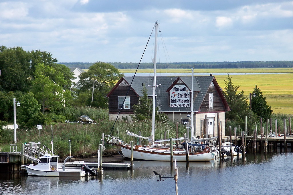 Elevation of Bass River State Forest, Stage Rd, Tuckerton, NJ, USA