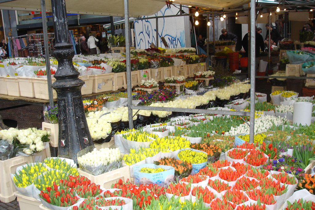 Utrecht Flower markets in Utrecht. Parissa Jahromi Flickr