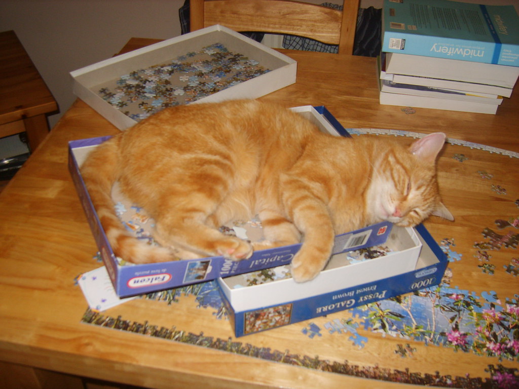 Cats sleep anywhere. Cat stops jigsaw puzzle fun. Reminds … Flickr