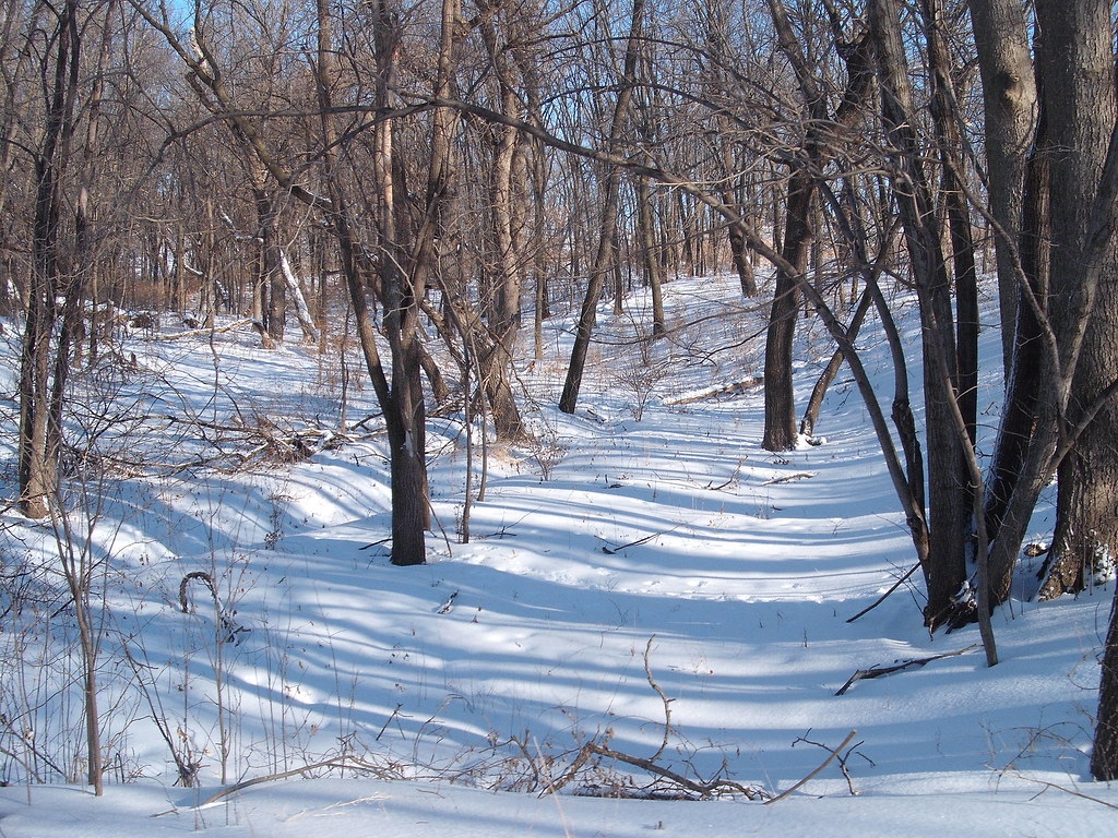 Jacob Biddle biddlejacob Flickr