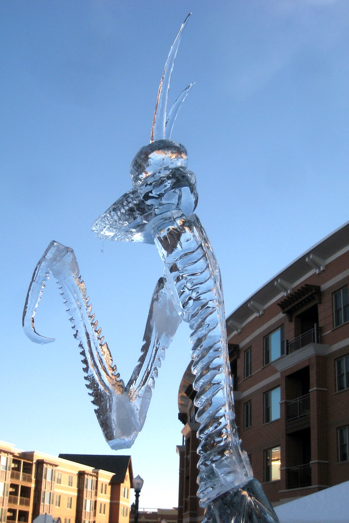 Downers Grove Ice Sculpture Festival Kate Skegg Flickr