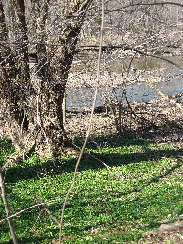 Peace Valley Park, Bucks County PA cormanosanchez Flickr