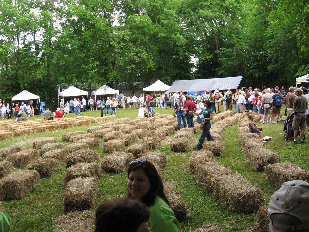 Geowoodstock VII Bell Buckle, TN 053 Stephen Drake Flickr
