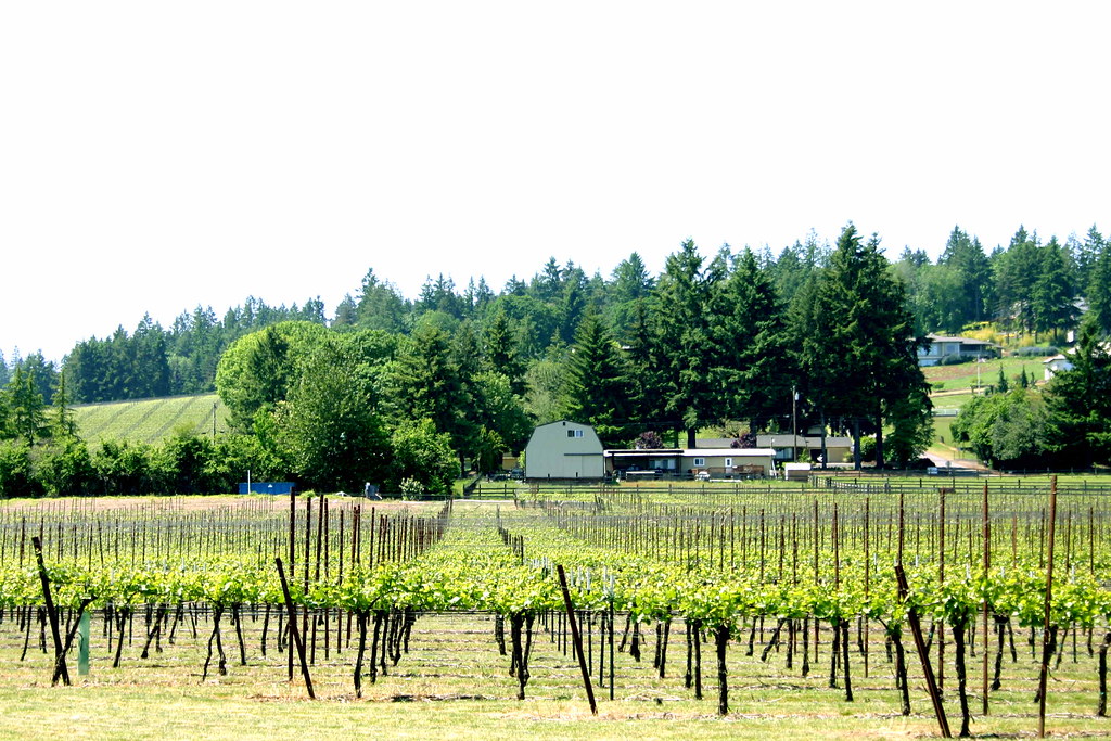 Willamette Valley Flickr
