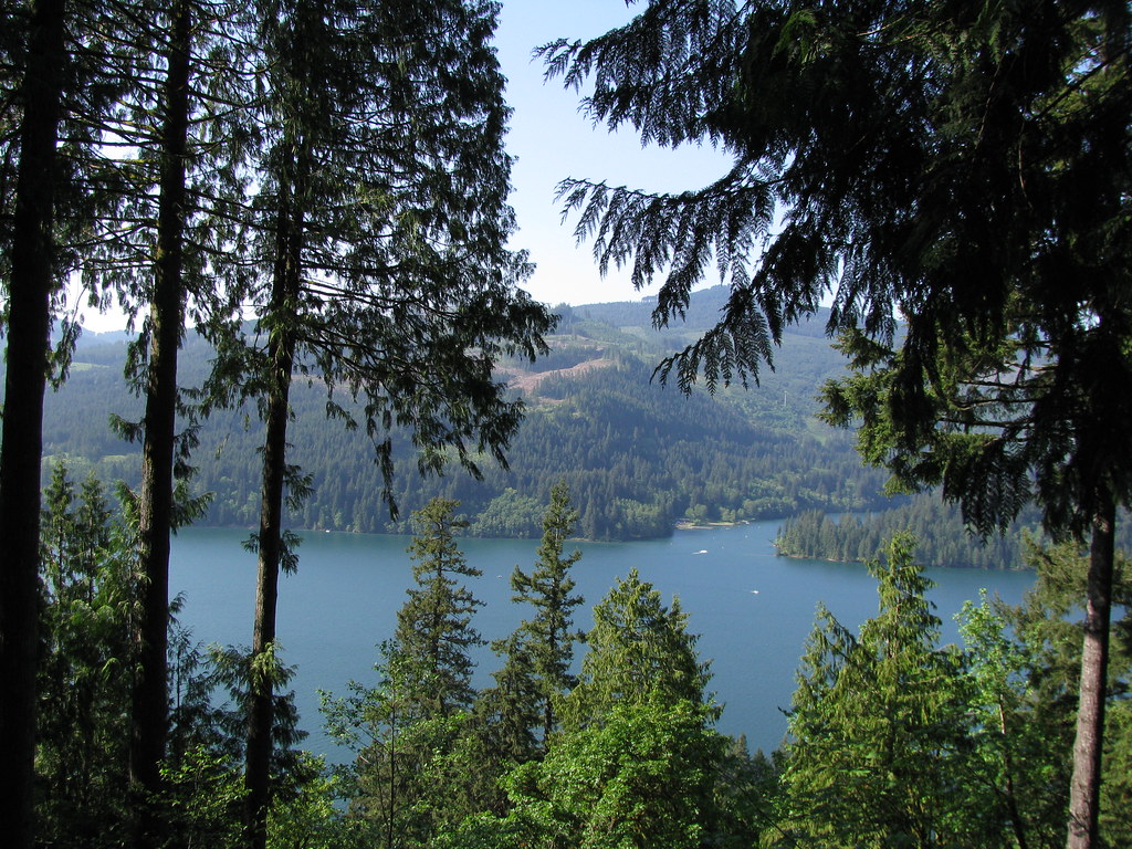 Lake Merwin Campers Hideaway Views from down on the water … Flickr
