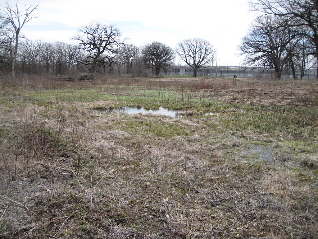 Campton Hills Park Carol Stevenson's wetland Paul Comstock Flickr