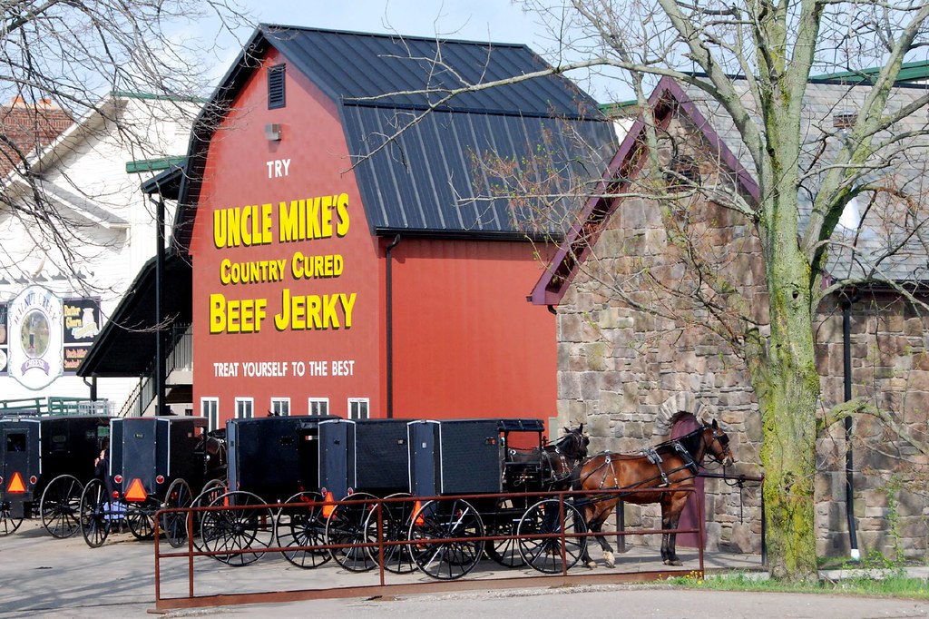 Holmes County, Ohio Amish Buggies A group of horse and b… Flickr