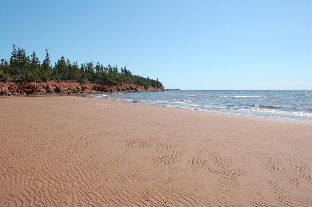 PEI 200906167 Bay Fortune the beach near Abell's Cap… Shane