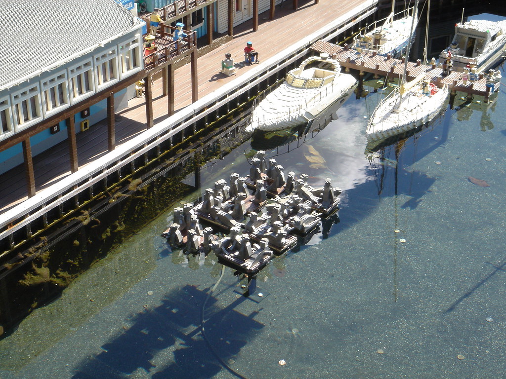 Seals off Fisherman's Wharf Detail from Fisherman's Wharf,… Flickr