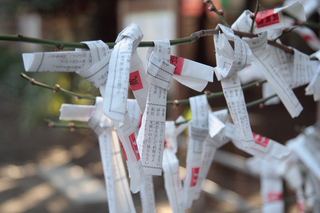 Good Luck Charms in color New Year good luck charms in col… Flickr