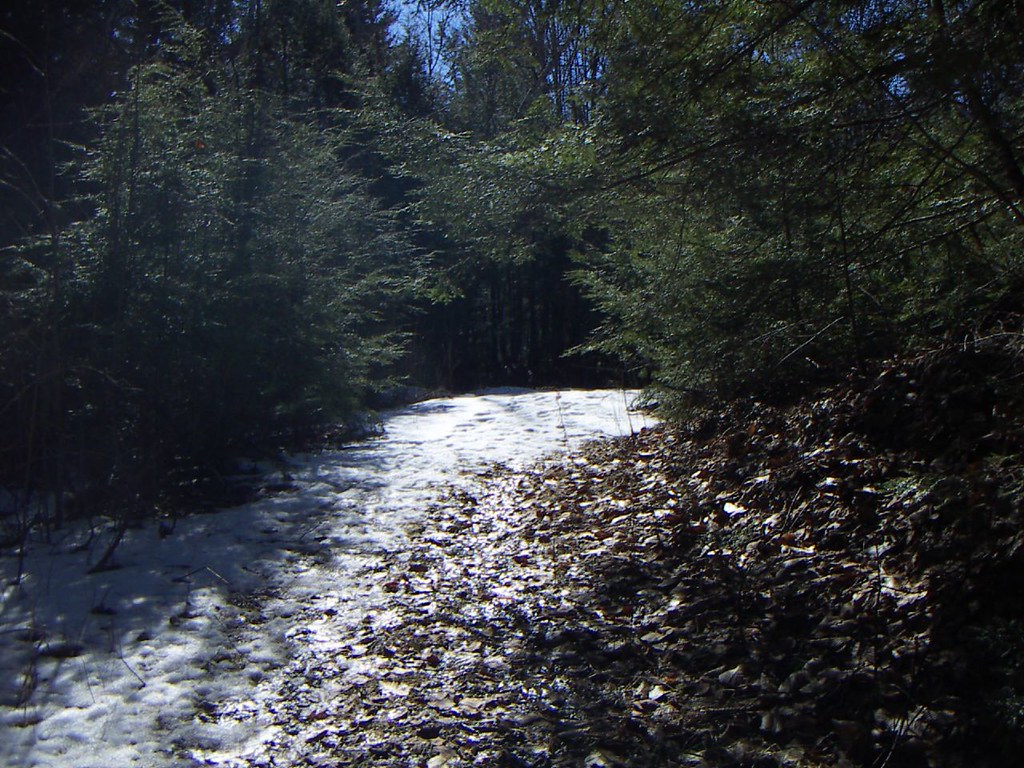 Beech Hill Pond 3906 (7) Jennifer Flickr