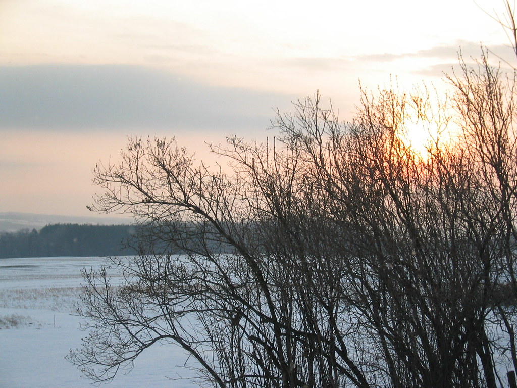 Scipio Scipio Center, NY, in the winter Jen Flickr