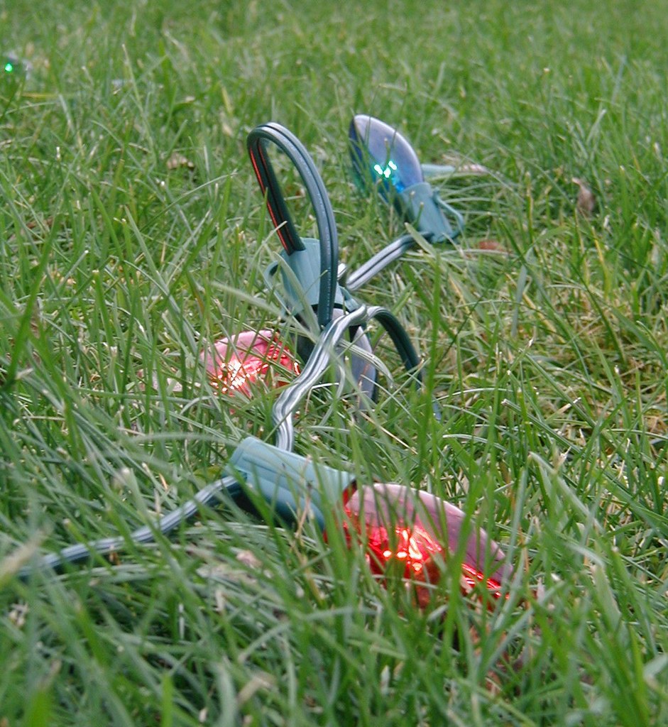 Christmas Lights on the Lawn Getting decorated... Product of