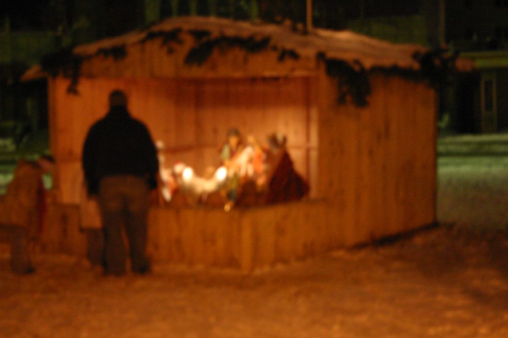 Christmas in Bronson Park downtown Kalamazoo Mi. 05 Flickr