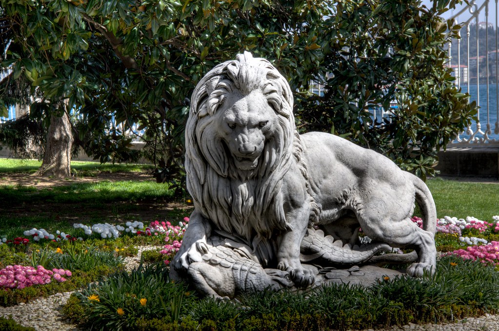 Lion Vs Crocodile a photo on Flickriver