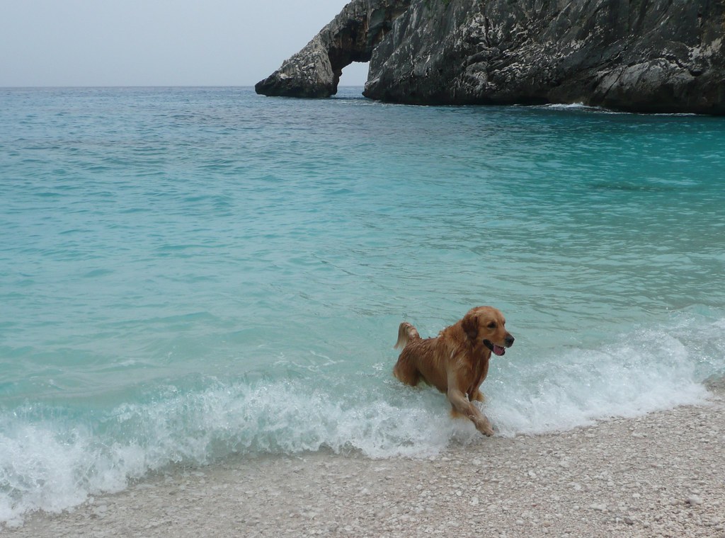 Che bagno! mariarbara Flickr