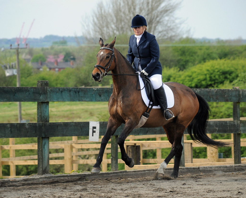 Abram Hall Dressage May 1st 2010 Sue John Harwood Flickr