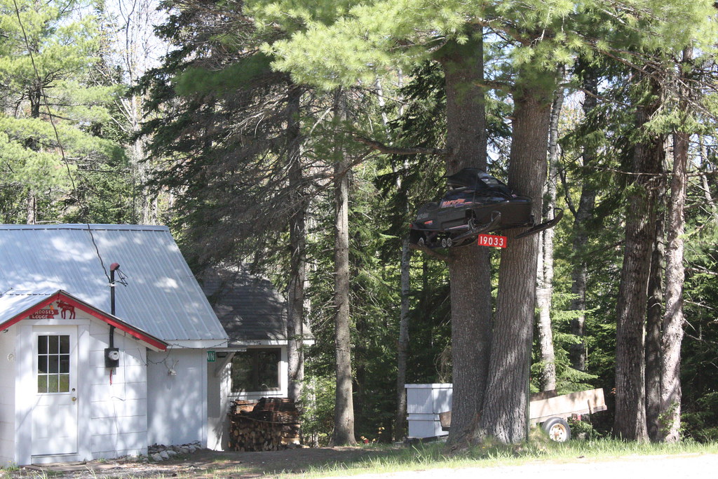 Snowmobile In Tree North of Newberry, Michigan a cabin pro… Flickr