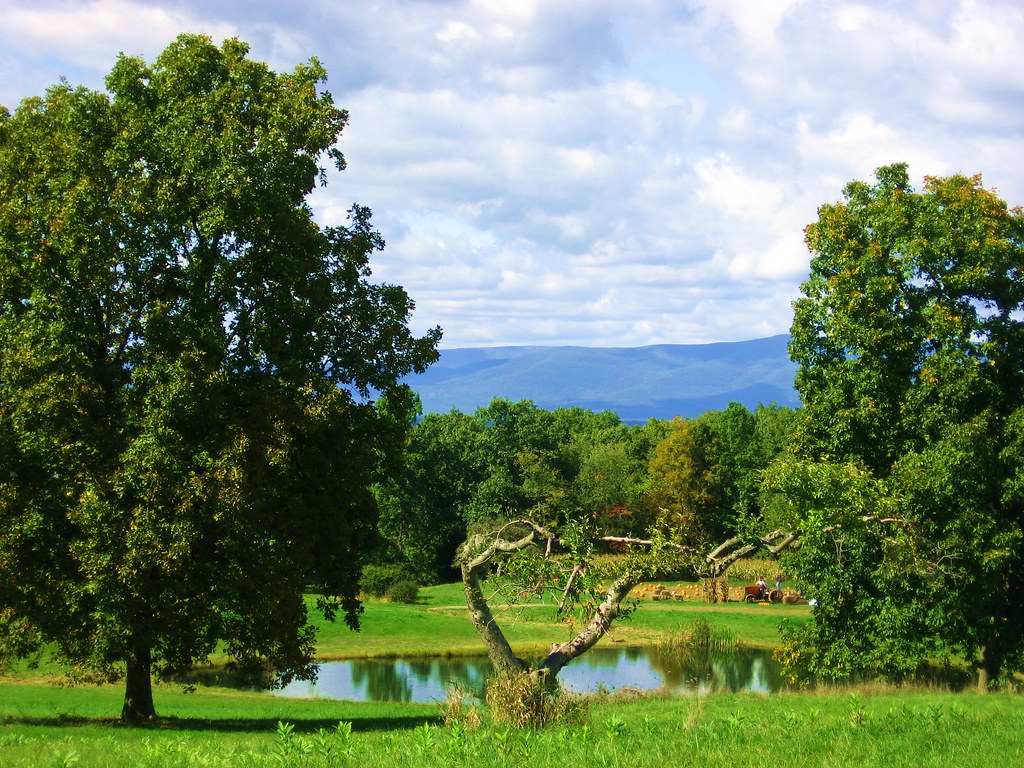DutchessIMG_5460 Cedar Heights Orchard Rhinebeck, New York