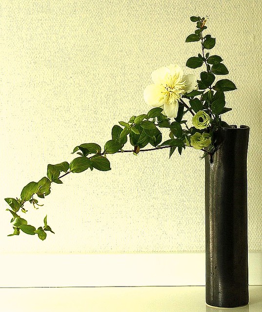 Nageire suitai Ikebana by Jeroen Vermaas Jeroen Vermaas Flickr