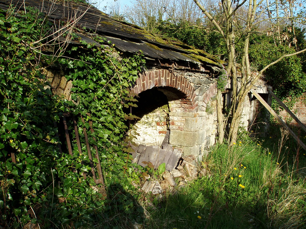 Loughbrickland bossyfish Flickr
