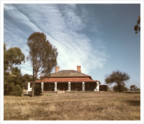 Kilmore Homestead mottledpigeon Flickr