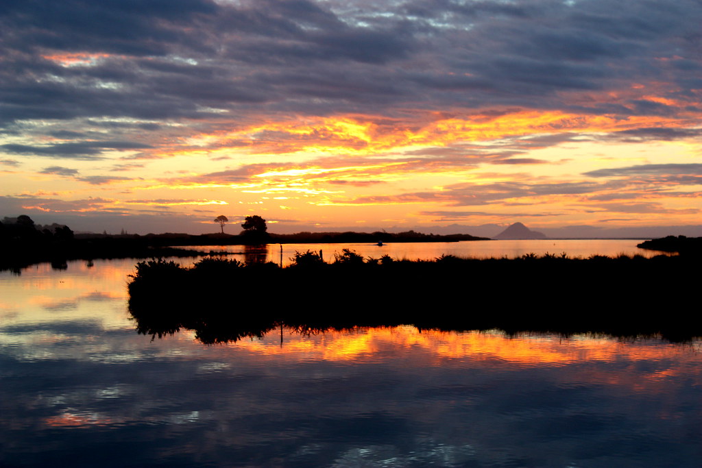 Whakatane to Opotiki Road Trip Bachcare Blog