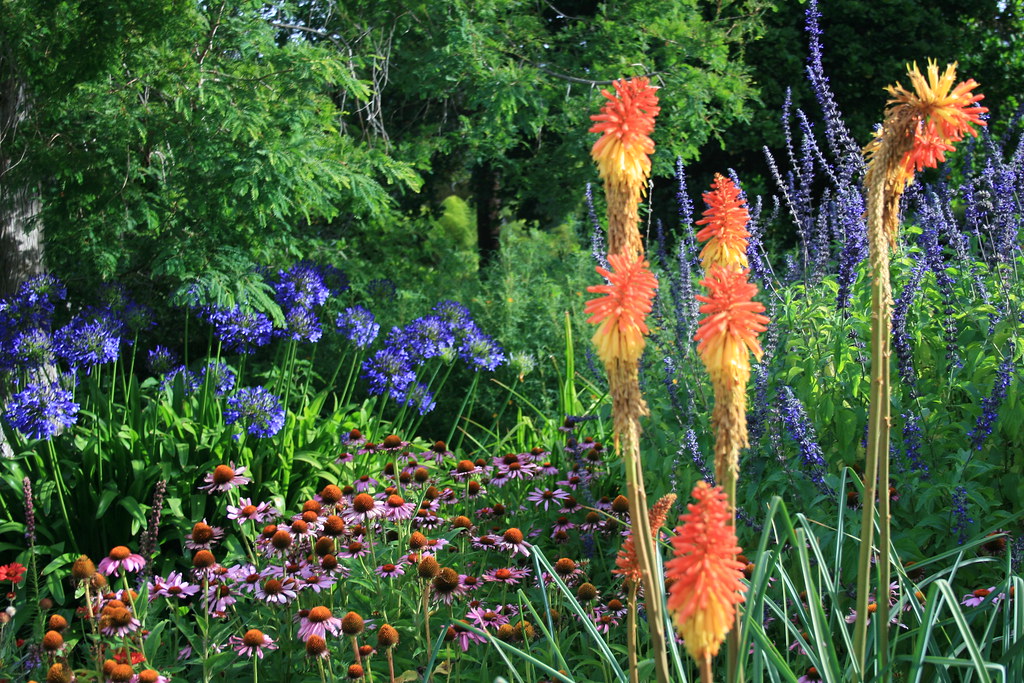 melbourne botanical gardens box fish Flickr