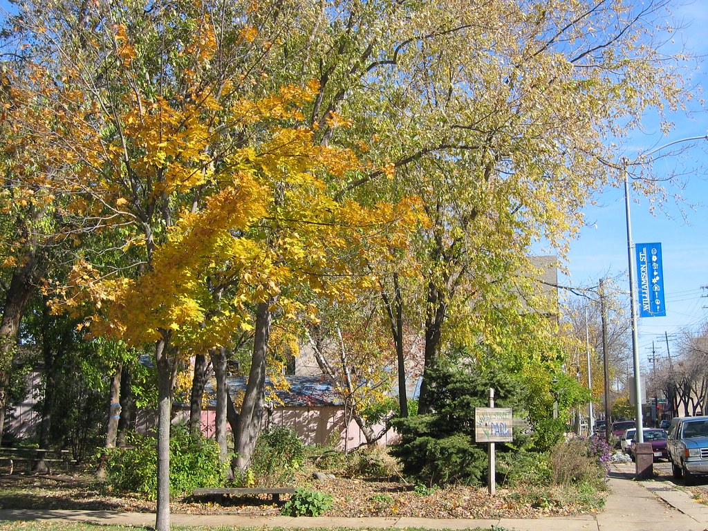Willy Street Park amberampersand Flickr