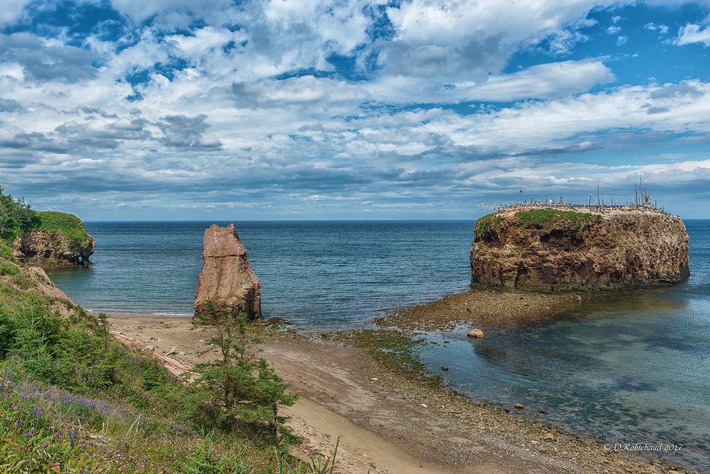 DSC_9424a Pokeshaw NB Donald Robichaud Flickr