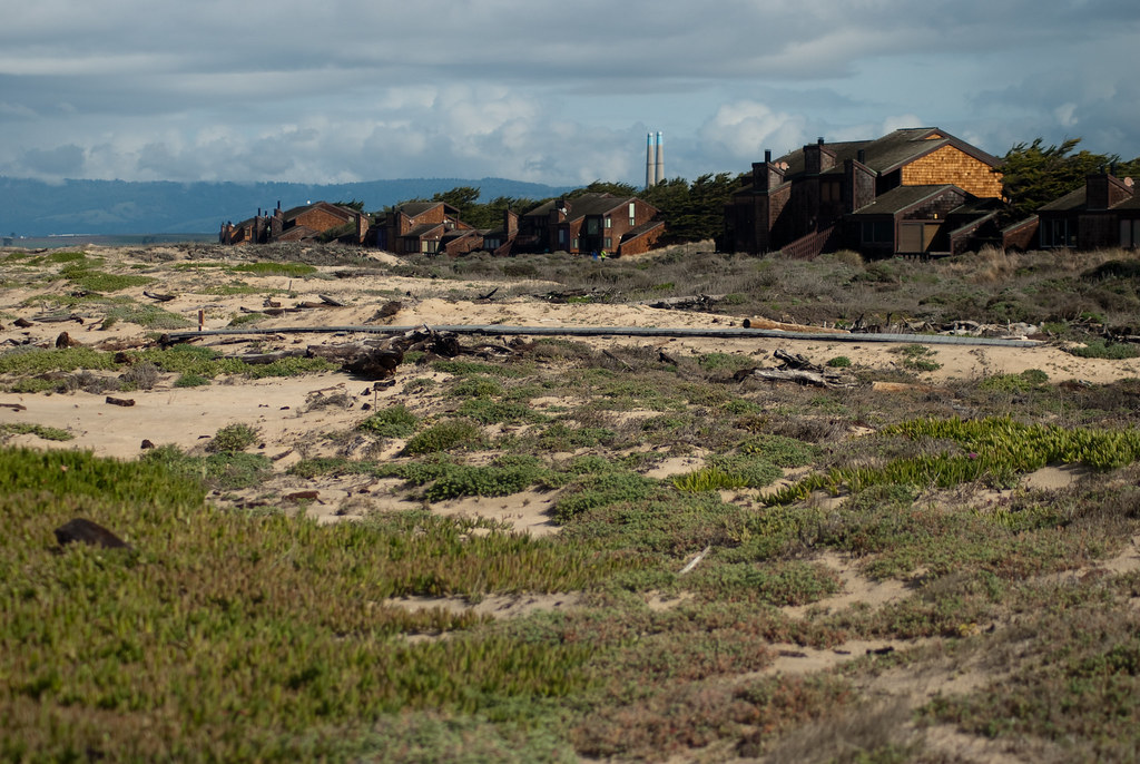 Monterey Dunes Colony KristinLaura Flickr