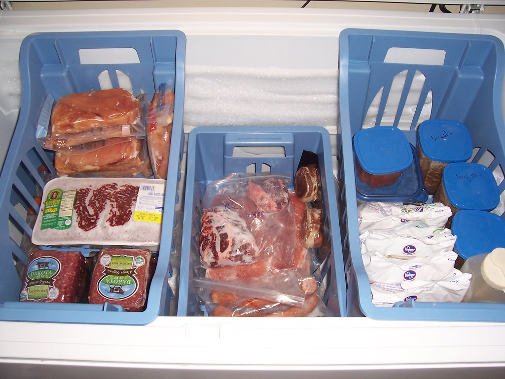 Freezer in garage Bryce Raley Flickr