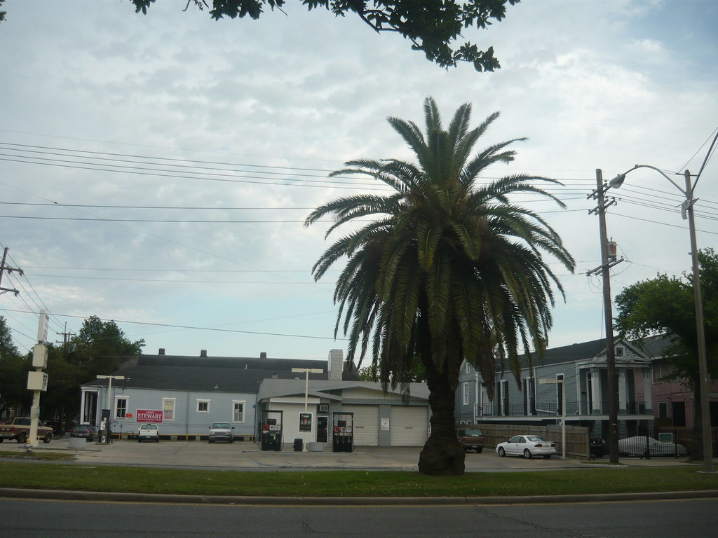 Palm and Gas STation Anthony Easton Flickr
