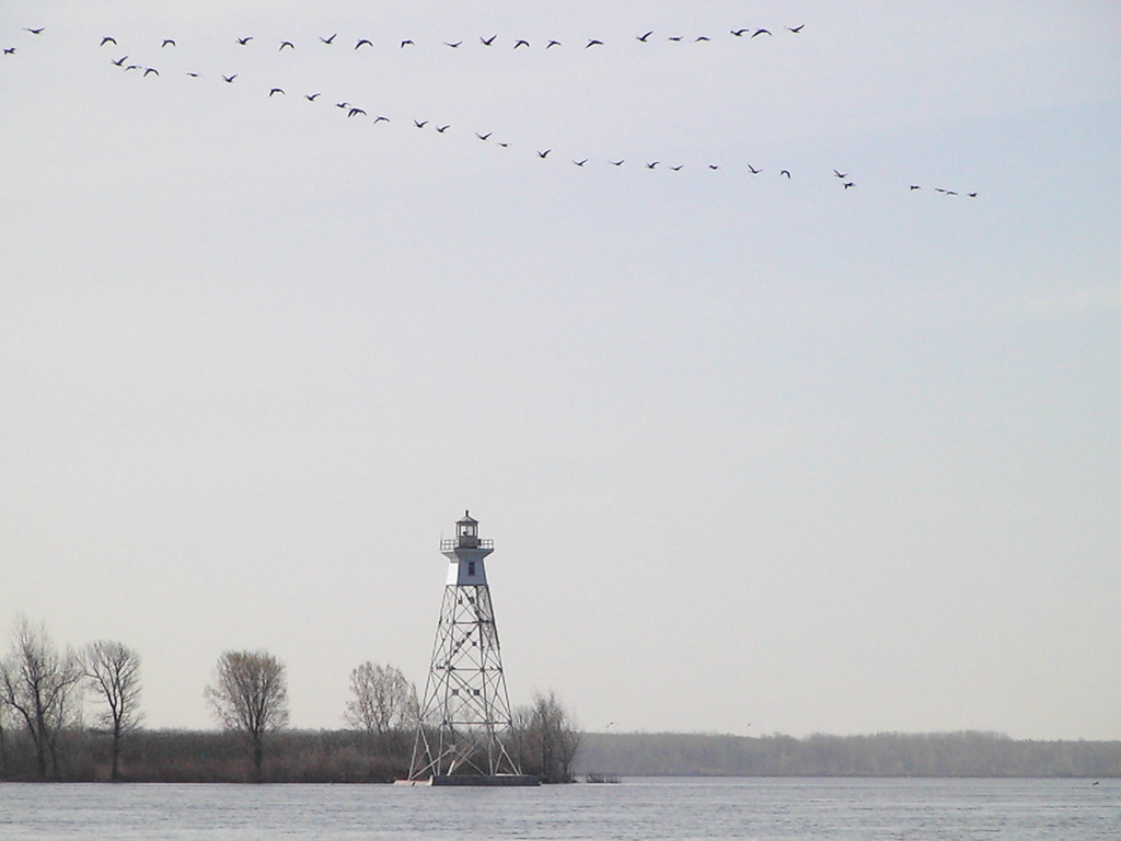 Bord du lac, dorval CafeAgendaUrbain Flickr