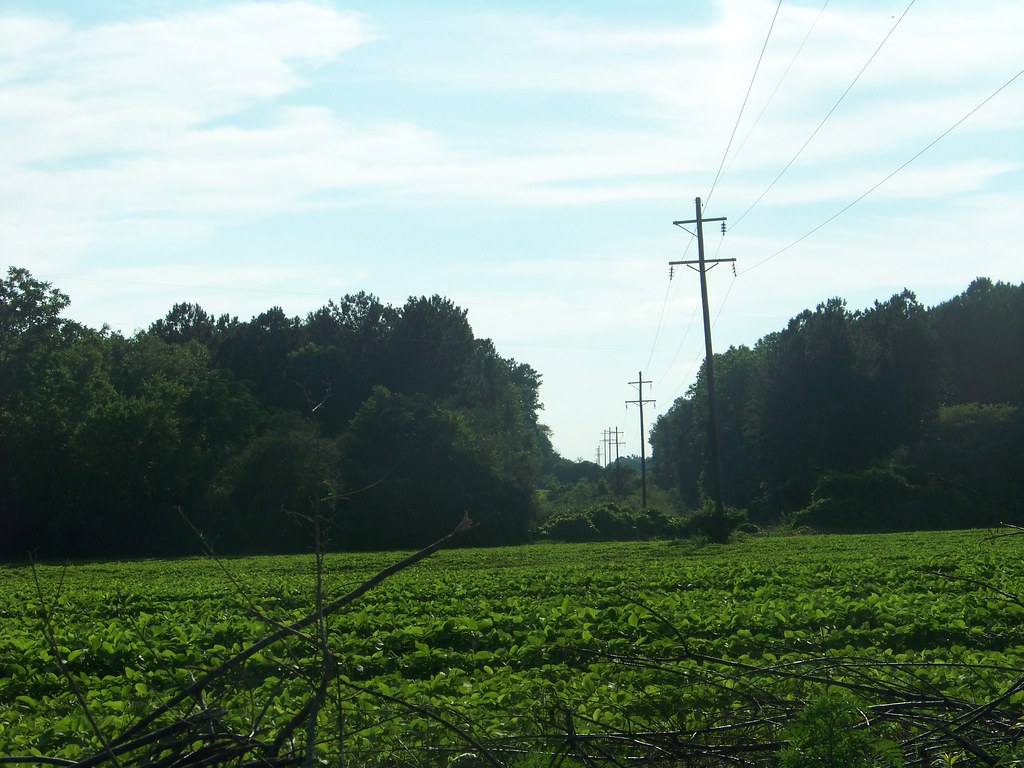 Rural Alabama Powerline.......... A powerline, of one of A… Flickr