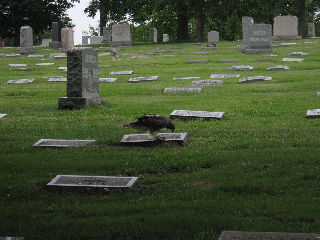 Camden Planning Meeting Walt Whitman Flickr