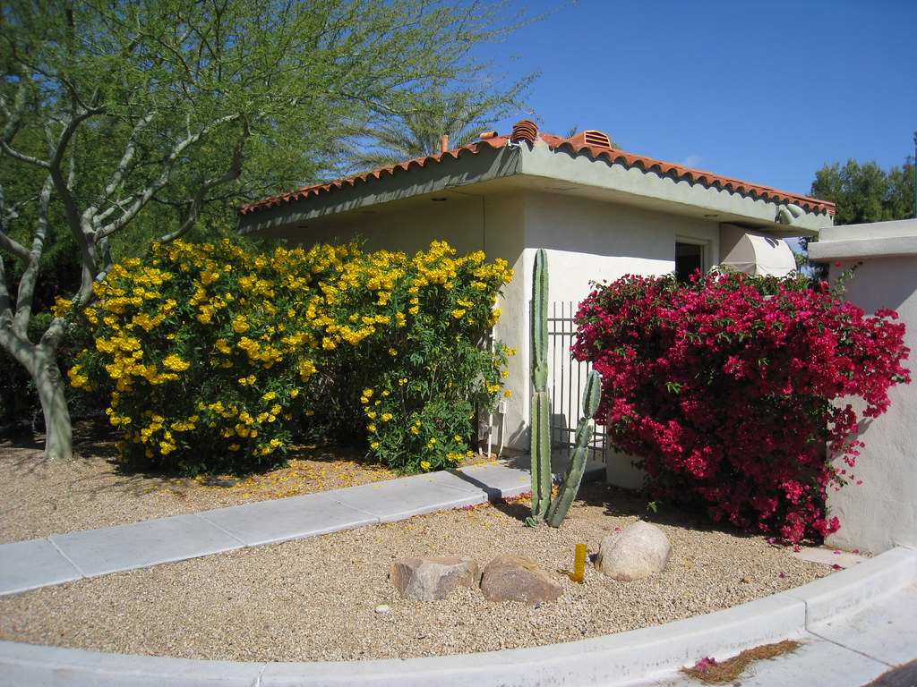 Spring Color in Scottsdale Flowers are in full bloom durin… Flickr