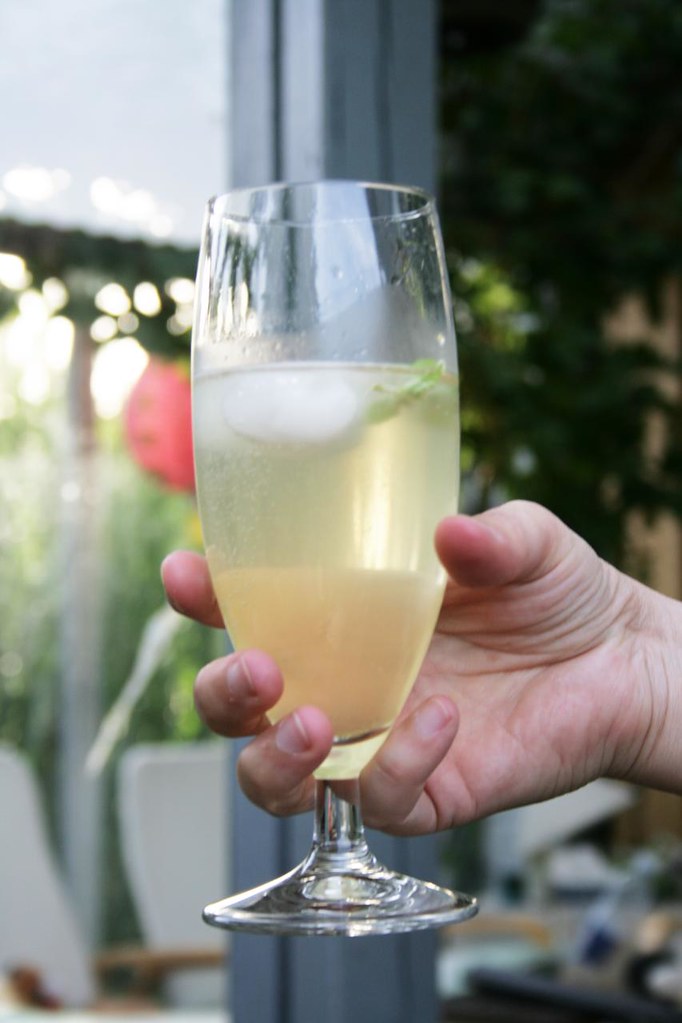 white wine & elderflower spritzer blogged with recipe Froydir Flickr