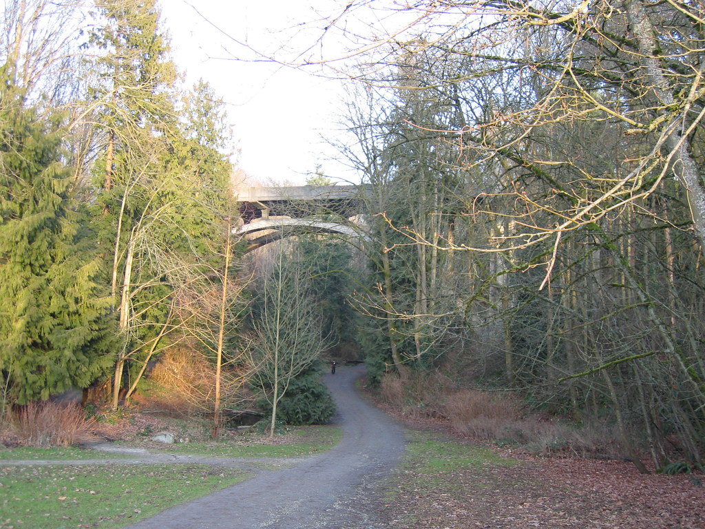 Cowen Park Ravine 028 Vince Flickr