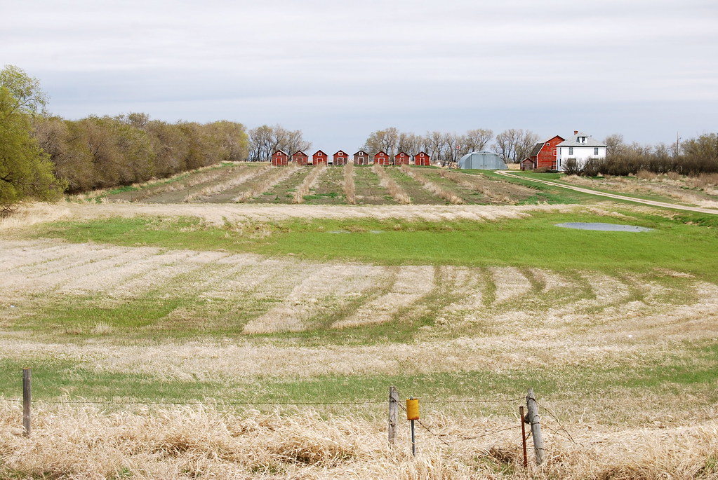 Bethune Farm Saskatchewan, Canada Timothy State Flickr