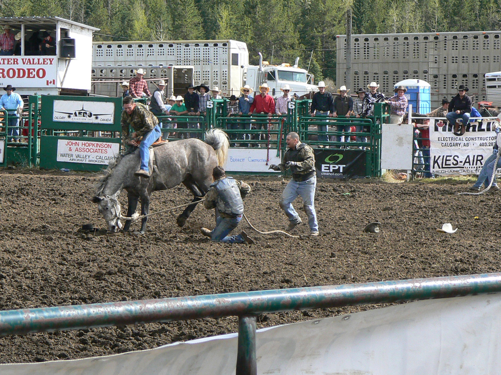 P1160844 (2) Wild horse race at the Water Valley rodeo 201… nicepix25216 Flickr