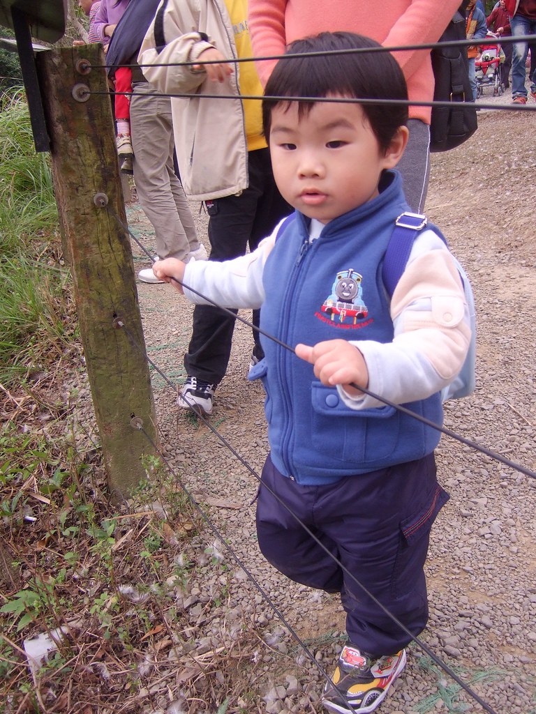 SCS delivery 191 JULES SHIH Flickr