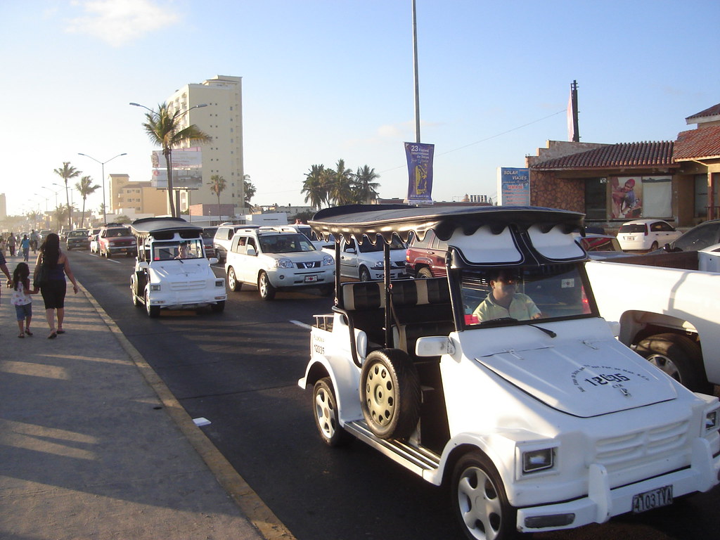 Pulmonias de Mazatlán Mazatlán, Sinaloa, México Flickr