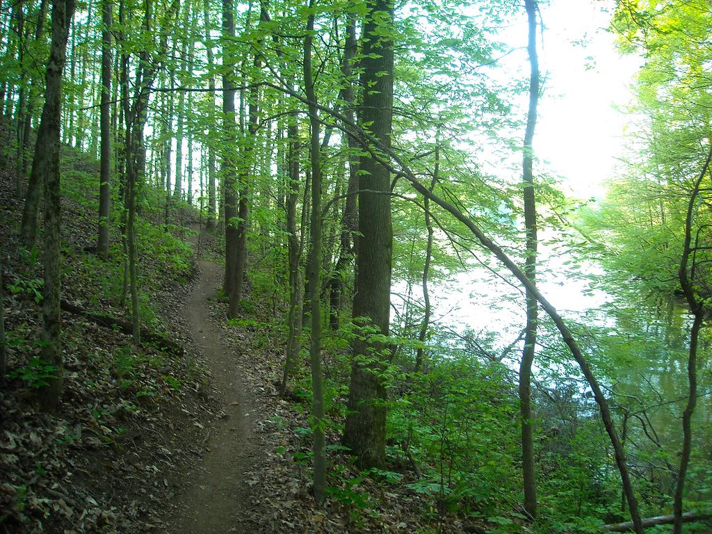 Haw Ridge Bike Ride, Oak Ridge, TN 42509 While the color… Flickr